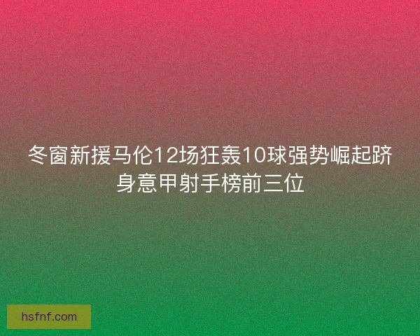 冬窗新援马伦12场狂轰10球强势崛起跻身意甲射手榜前三位 冬窗新援马伦12场狂轰10球强势崛起跻身意甲射手榜前三位