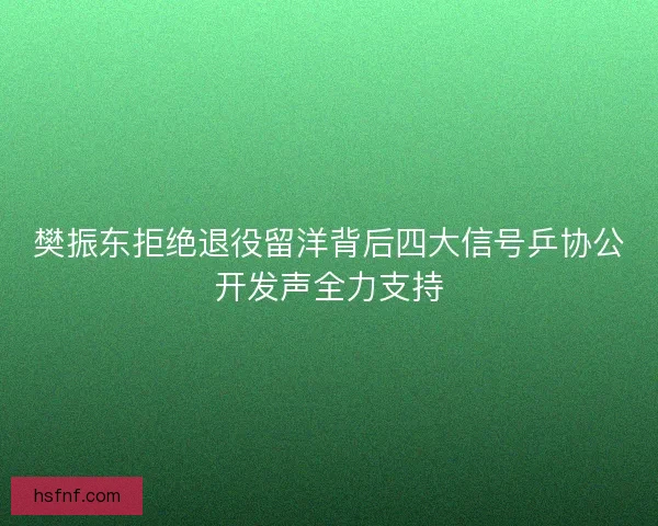 樊振东拒绝退役留洋背后四大信号乒协公开发声全力支持